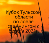 Кубок Тульской области 2021